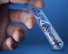 Test-tube-DNA-strand-1211PETnutri