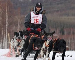 Downey-dog-sled-race-1212PETannamaet
