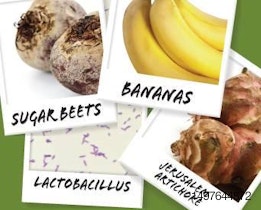 Four snapshots of prebiotic sources in pet food