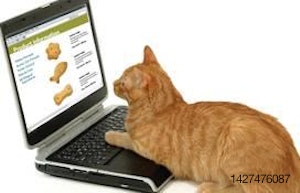 1105PETonline1 cat-food-trends