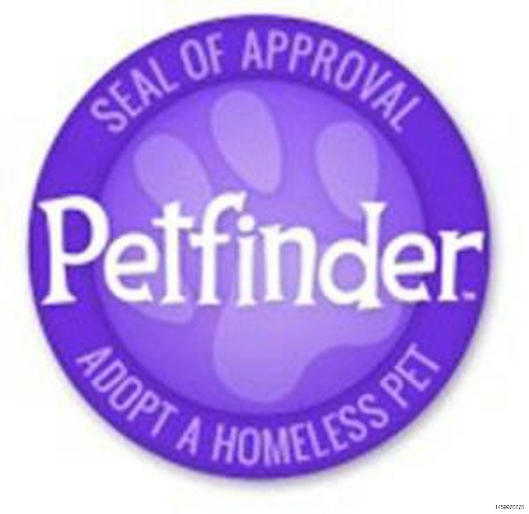 seal-of-approval-1211PETpetfinder.jpg