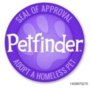 seal-of-approval-1211PETpetfinder.jpg