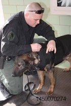 police-dog-1303PETtrouwnutrition.jpg