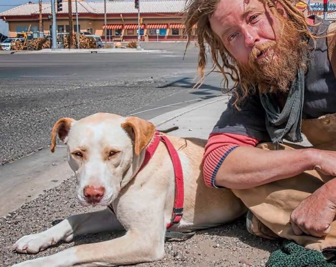 pets of the homeless