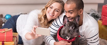 Christmas couple selfie with French bulldog