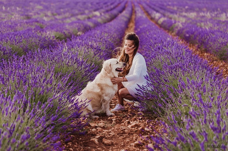 DiamondV_woman and dog in lavender field