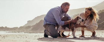 Couple with dog on beach