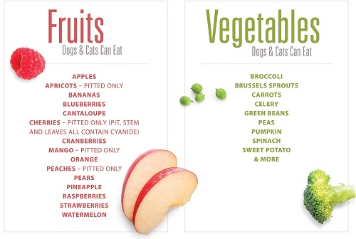 Fruit and Veggie chart