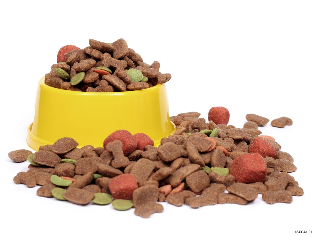 dog food in yellow bowl